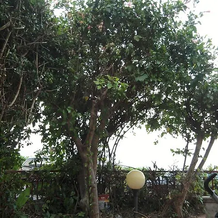 Appartement Mare Letojanni